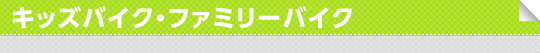 �L�b�Y�o�C�N�E�L�b�Y�J�[�g
