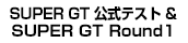 SUPER GT �����e�X�g�����SUPER GT Rd.1