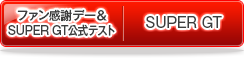 t@Ӄf[/SUPER GT