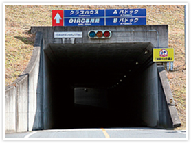 カルバート写真